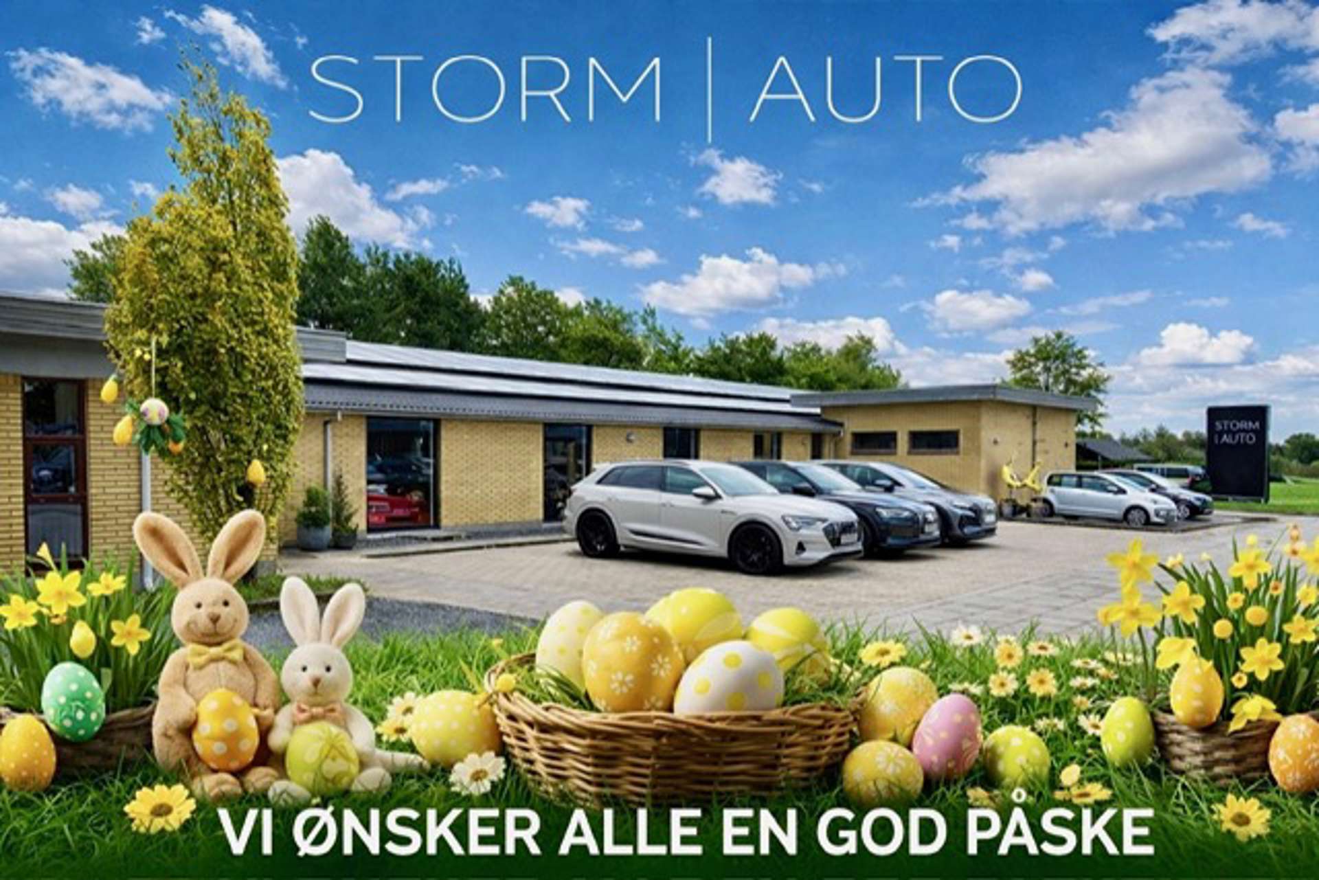 Storm Auto